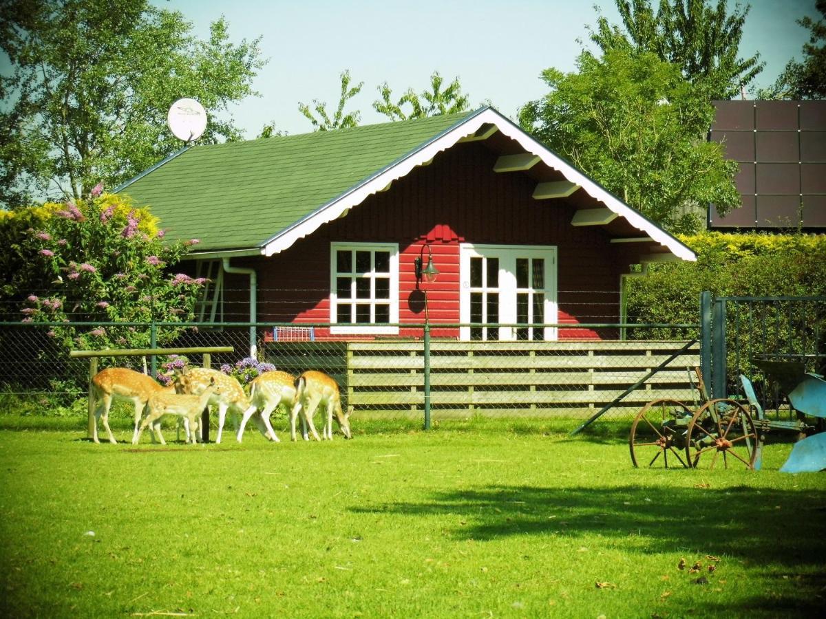 Vakantiehuisjes Landgoed Sonneborghe Kollumerzwaag Dış mekan fotoğraf