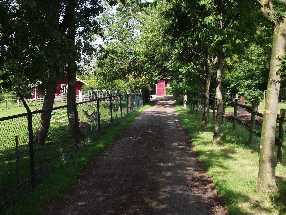 Vakantiehuisjes Landgoed Sonneborghe Kollumerzwaag Dış mekan fotoğraf
