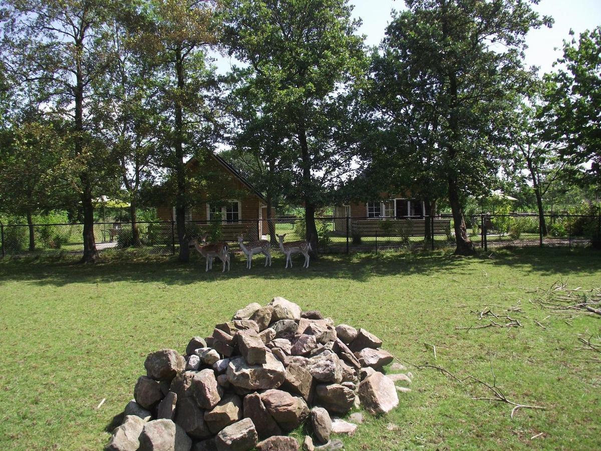 Vakantiehuisjes Landgoed Sonneborghe Kollumerzwaag Dış mekan fotoğraf